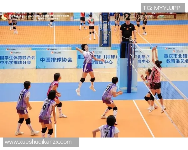 成都排球队与深圳排球队赛后战术分析与复盘探讨