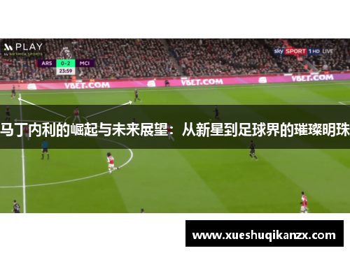 马丁内利的崛起与未来展望：从新星到足球界的璀璨明珠